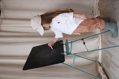 Palamut Nakışlı Oversize T-shirt