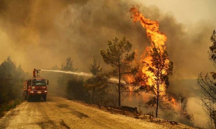 Ormanlarımız Yanıyor, Hepimizin Elini Taşın Altına Koyma Zamanı