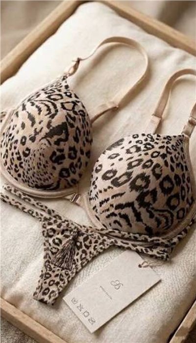 Kadın Push Up Dolgulu Taşlı B Cup Sütyen Takımı – LJ6950