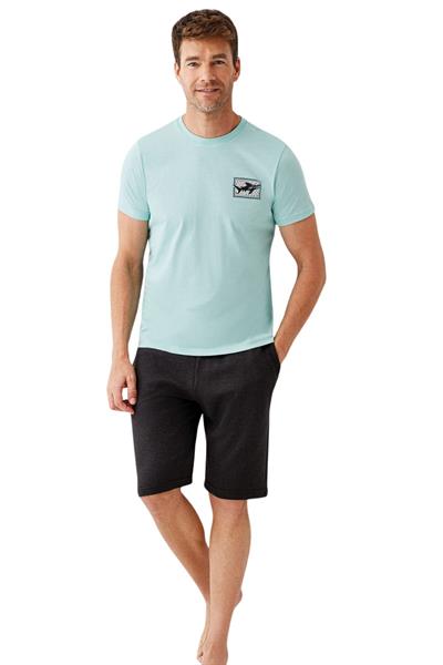 ERKEK PİJAMA ŞORTLU TAKIM AR3672