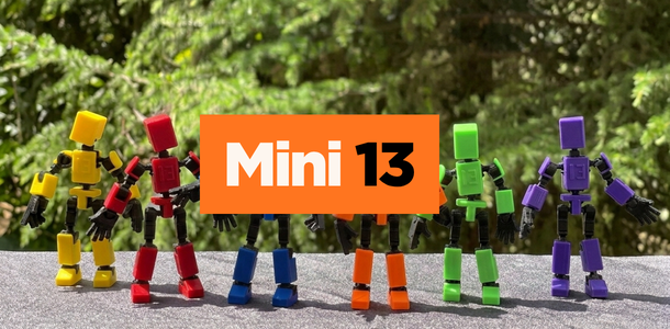 Mini 13