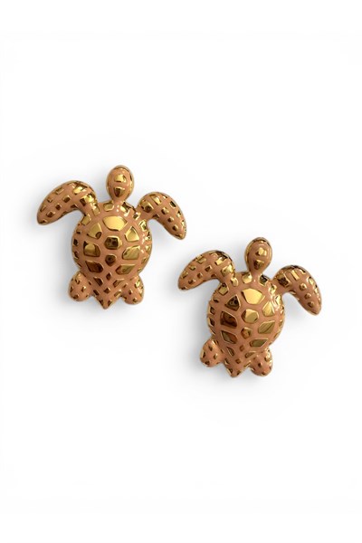 Kaplumbağa 🐢 model küpe