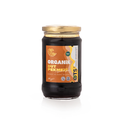 OTS Organik Dut Pekmezi 380 gr