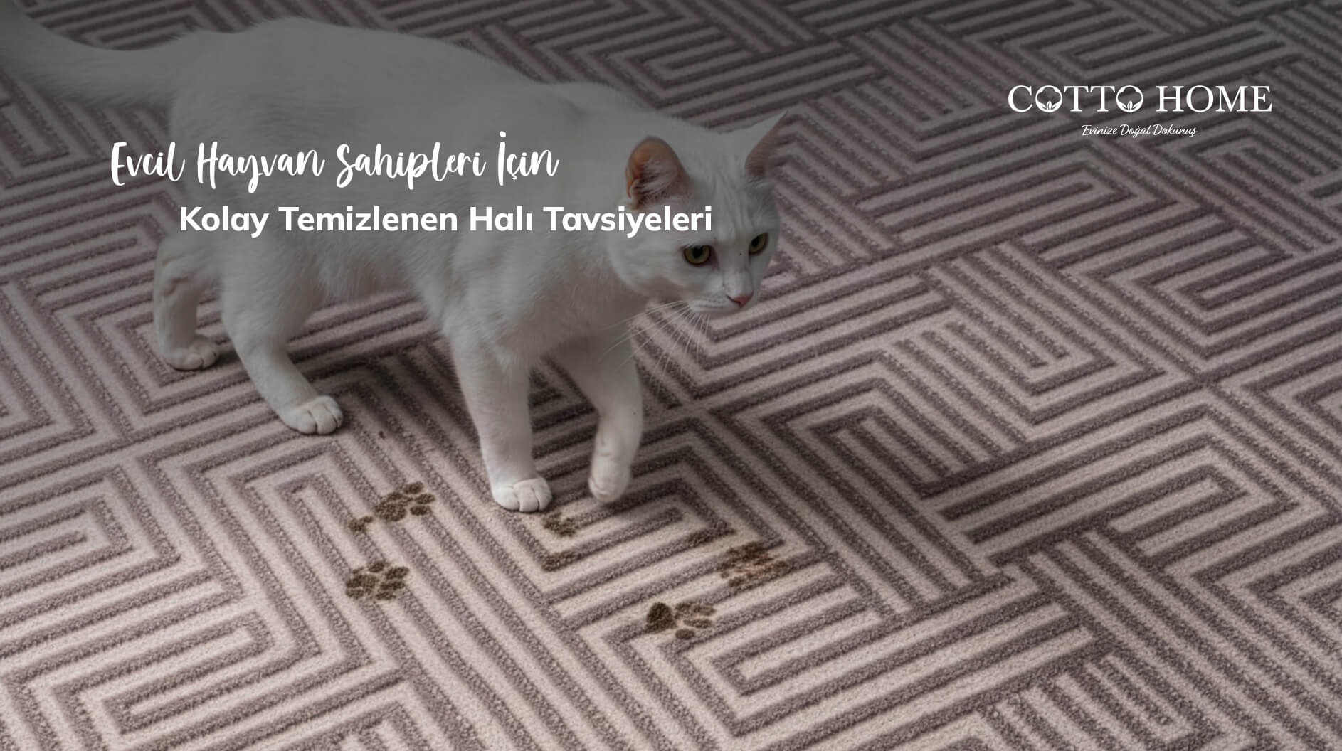 Evcil hayvan dostu, tüy toplamayan modern halı modeli