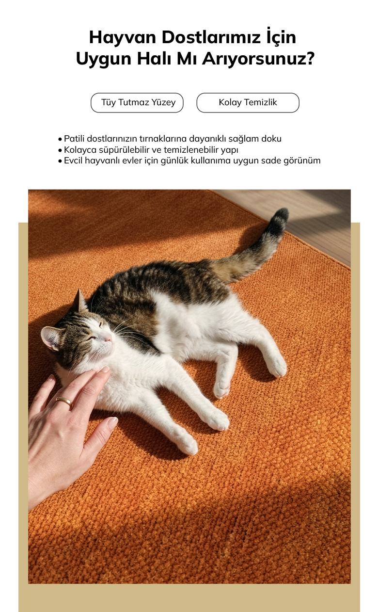 Hayvan dostlarımız için uygun halı mı arıyorsunuz?