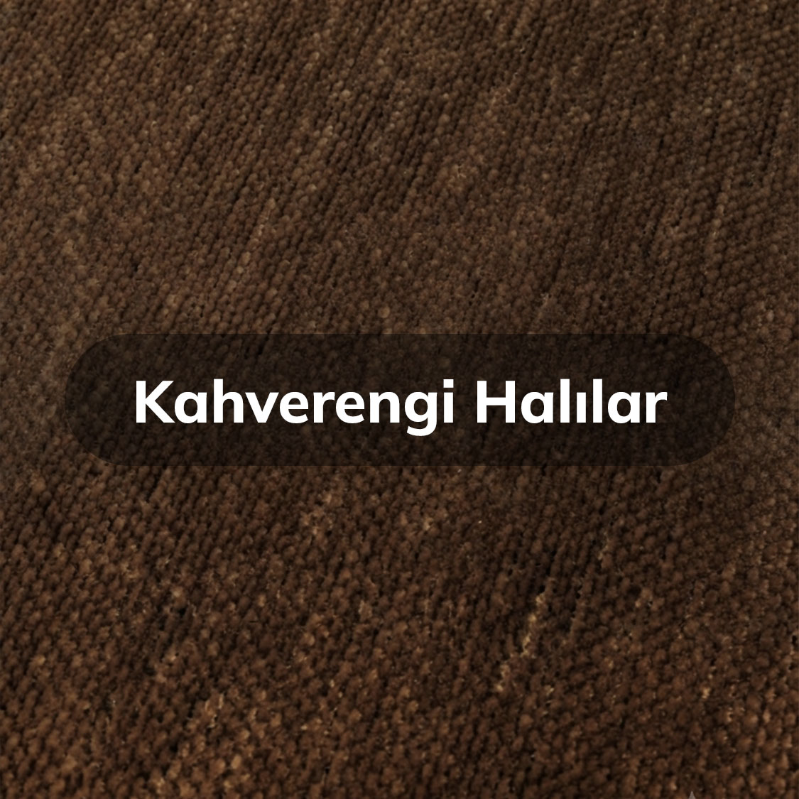 Kahverengi halılar