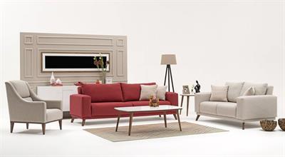 Birkin Koltuk Takımı