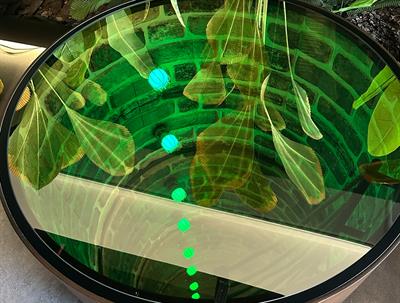 Endless İllüzyon Orta Sehpa