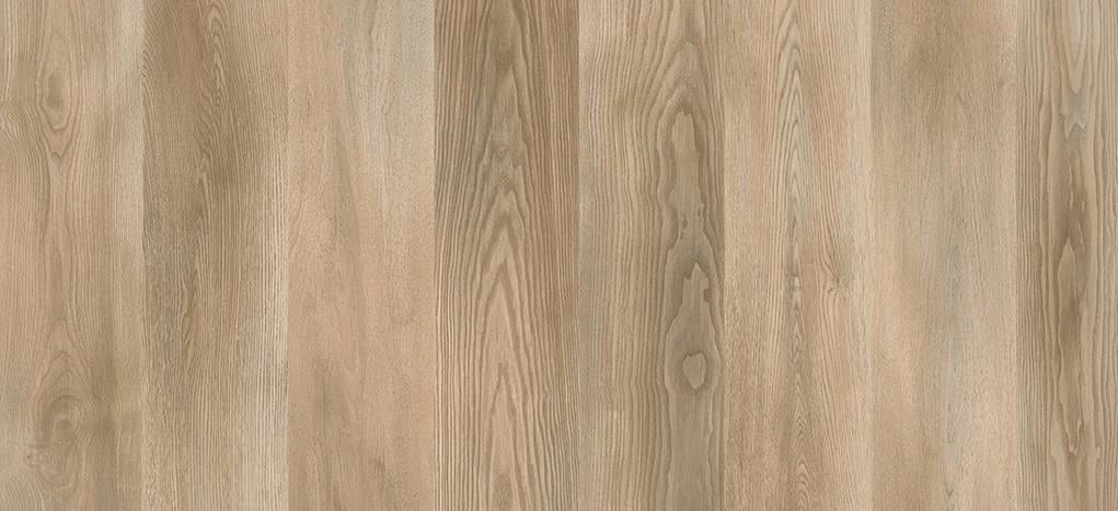 AGT PARKE M.POLO V LABRADOR 8X191X200 AC4