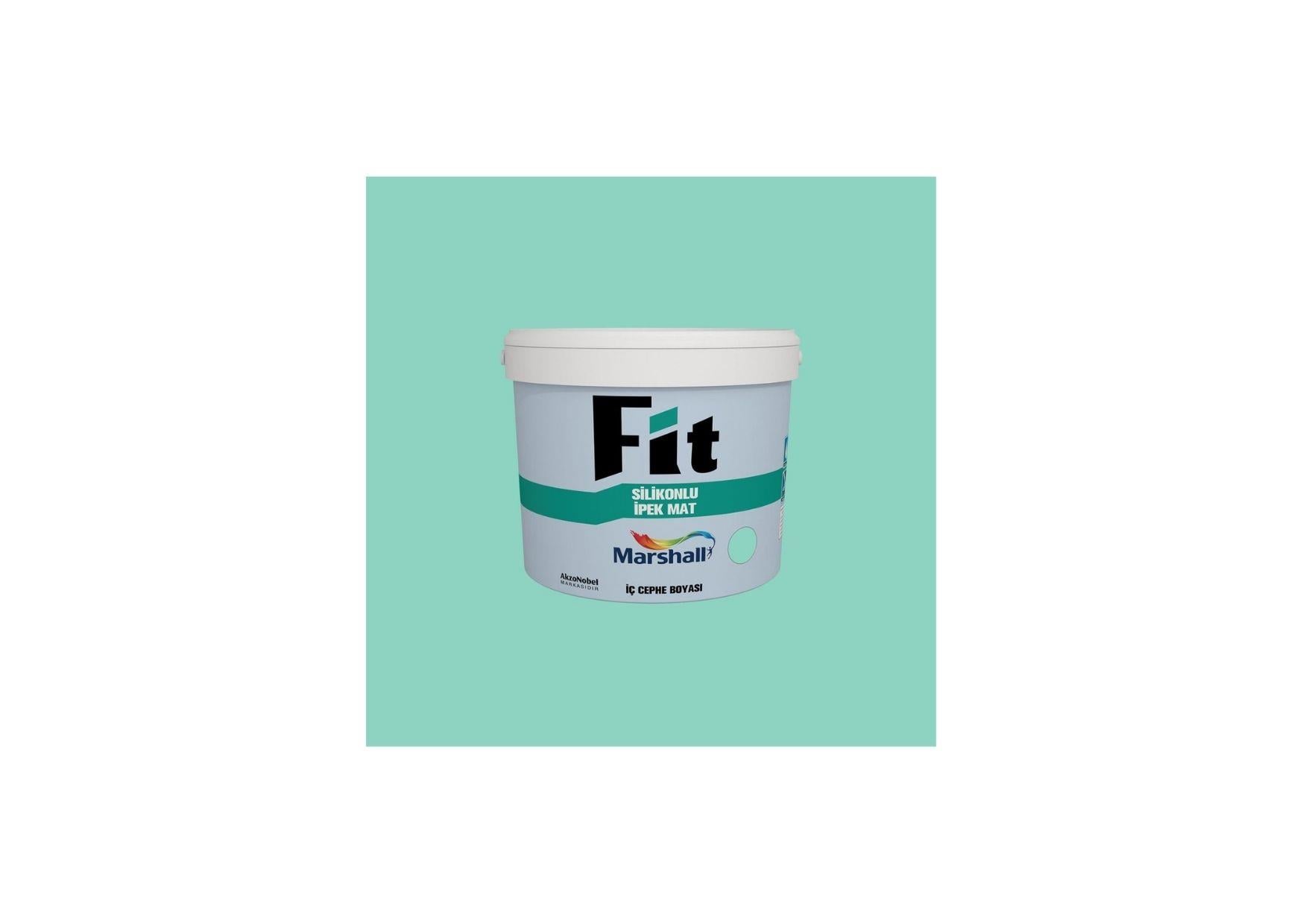 FI SILIKONLU IPEK MAT BW BAZ 10 KG