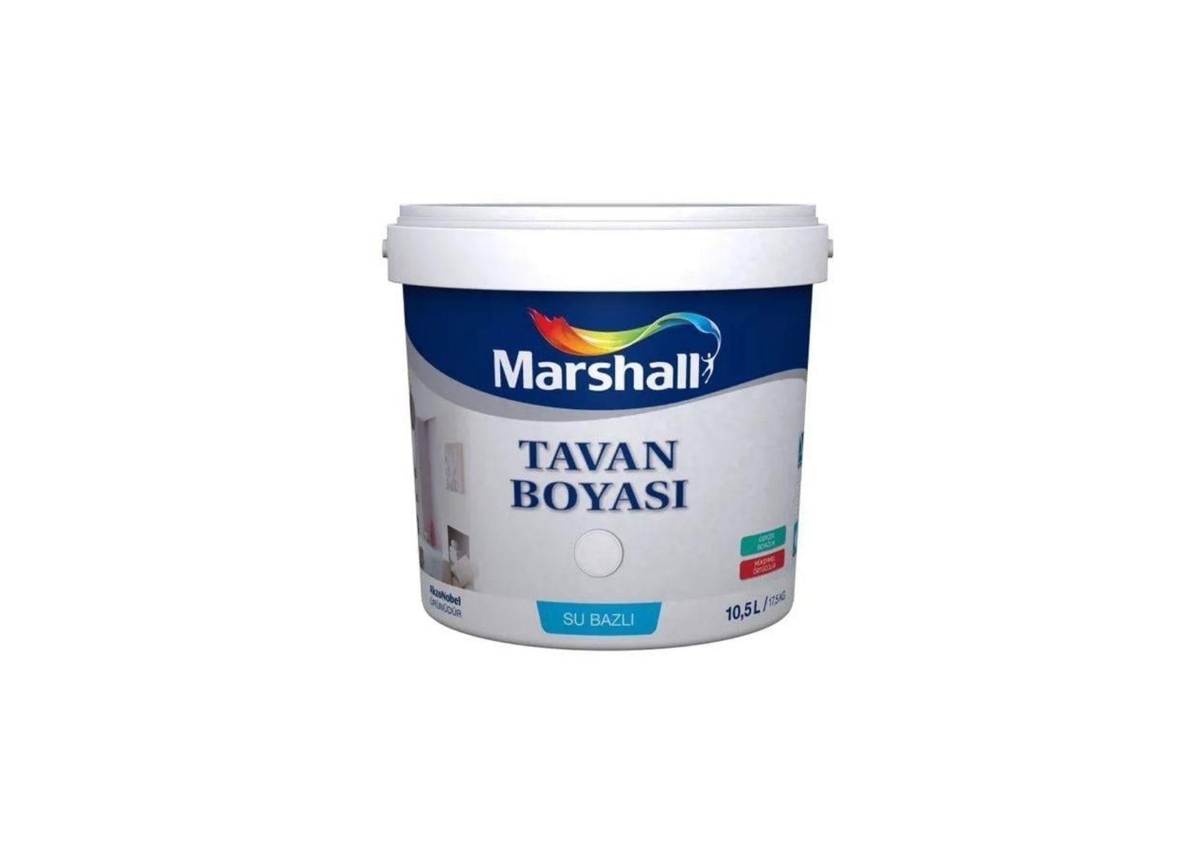 MB TAVAN BOYASI BEYAZ 10 KG