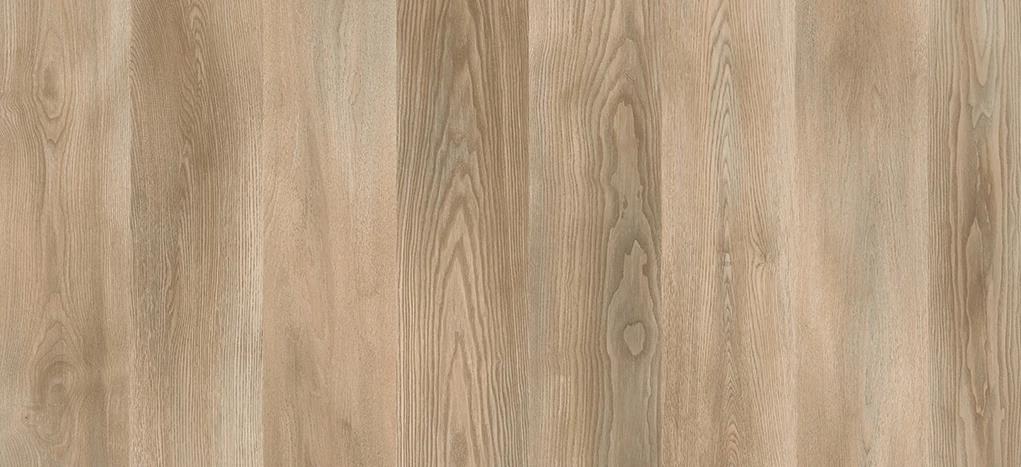 AGT PARKE M.POLO V LABRADOR 8X191X200 AC4