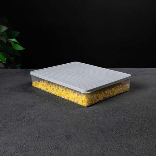 DecoBella Derin Dondurucu Sak. Kabı 3 L