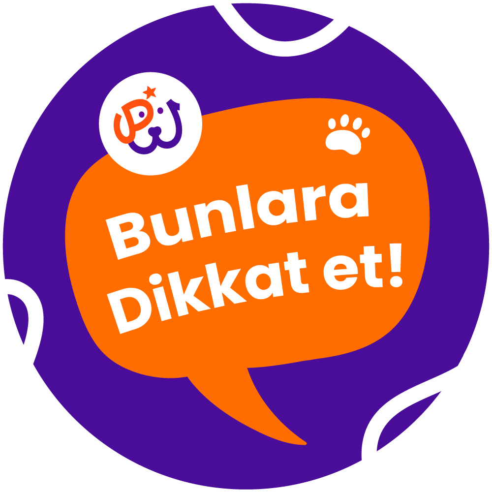 Bilgilendirme görseli