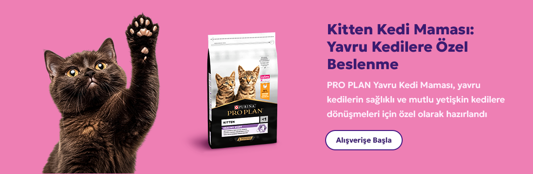 Petuzzy köpek ürünlerinde avantajlı fiyatlar ve kampanyalar