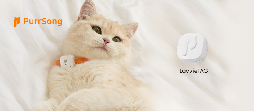 LavvieTag Ürünleri