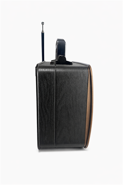 M-1919BT Nostaljik Radyo Görünümlü LED Işıklı Bluetooth,Hafıza Kartı,Usb Bellek,Aux Ve Radyo Destekli Hoparlör Siyah