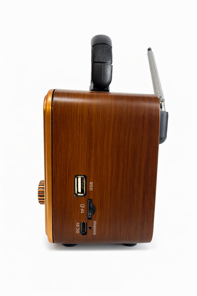 NS-8110BT Nostaljik Radyo Görünümlü Bluetooth,Hafıza Kartı,Usb Bellek,Aux Ve Radyo Destekli Hoparlör Altın
