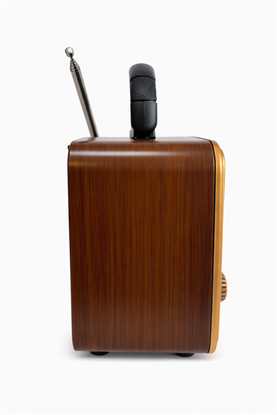 NS-8110BT Nostaljik Radyo Görünümlü Bluetooth,Hafıza Kartı,Usb Bellek,Aux Ve Radyo Destekli Hoparlör Altın