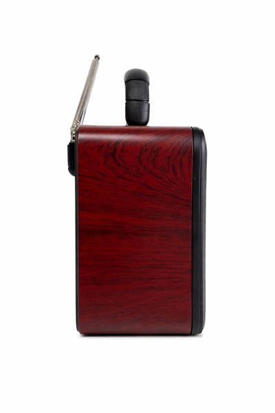NS-8897BT Nostaljik Radyo Görünümlü Bluetooth,Hafıza Kartı,Usb Bellek,Aux Ve Radyo Destekli Hoparlör Gold