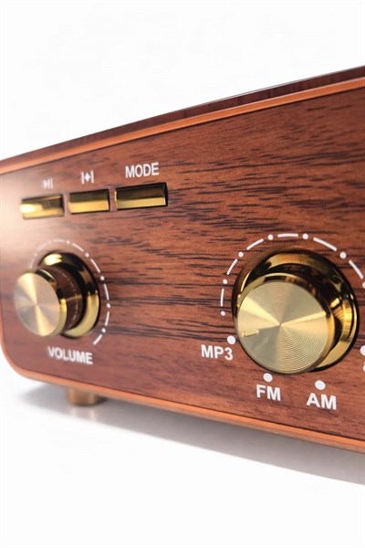 Plak Görünümlü Nostaljik Radyo (KAHVERENGİ) (MD-1317)