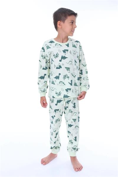 Erkek Çocuk Dinazor Desenli Uzun Kollu Pijama Takımı