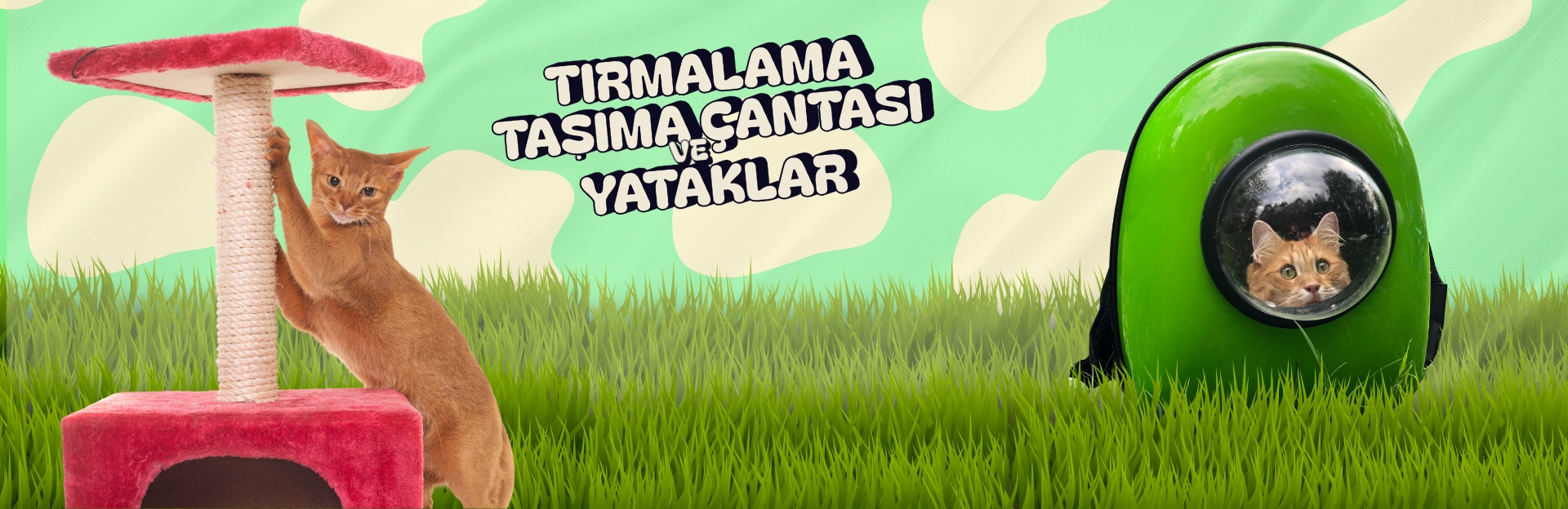 Kedi Tırmalama, Taşıma Çantası ve Yataklar