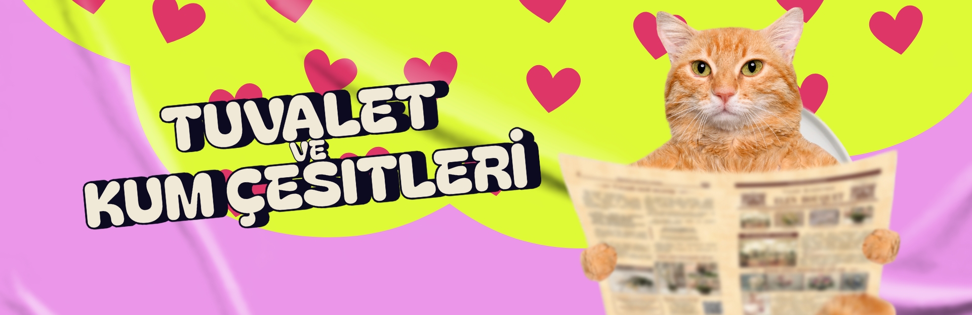 Kedi Tuvaletleri ve Kum Çeşitleri