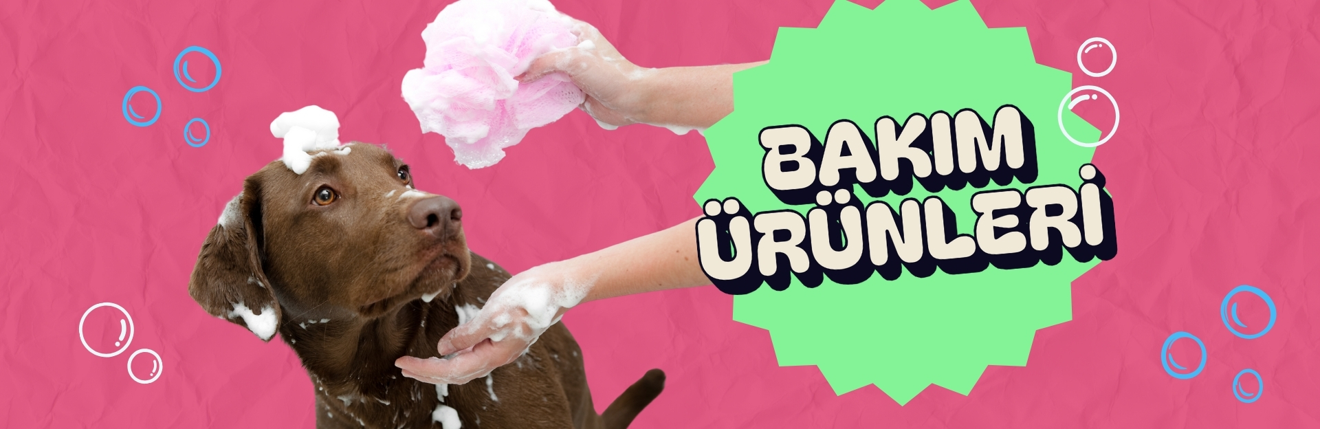 Köpek Bakım Ürünleri