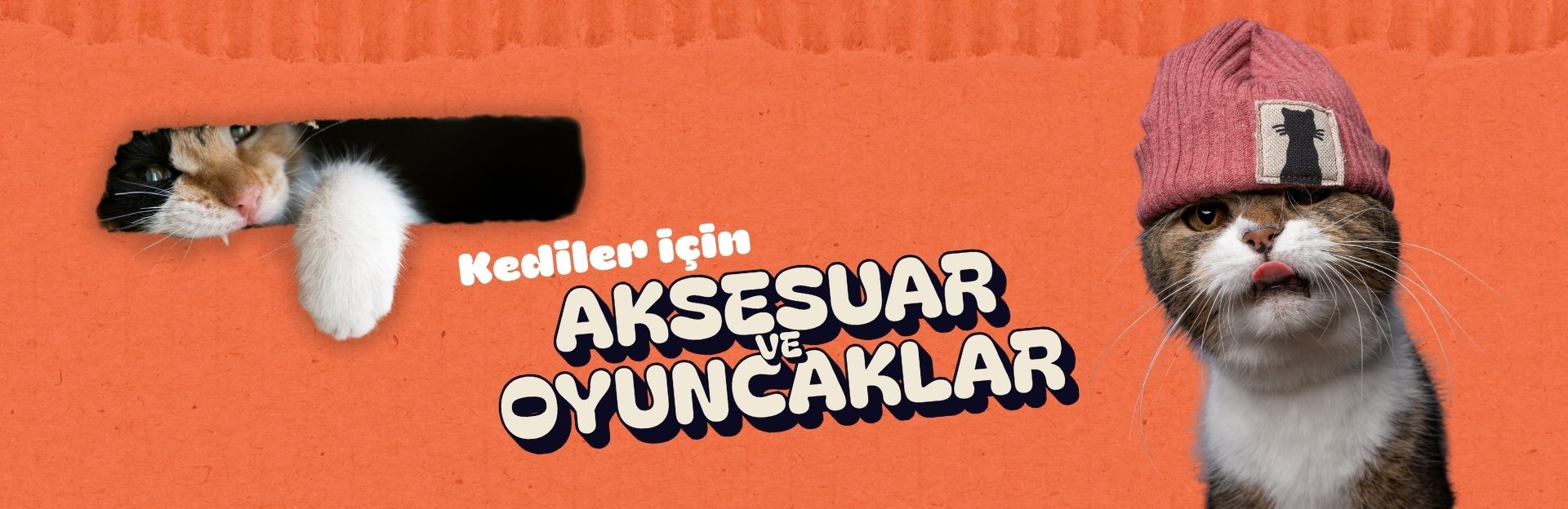 Kediler için Aksesuar ve Oyuncaklar