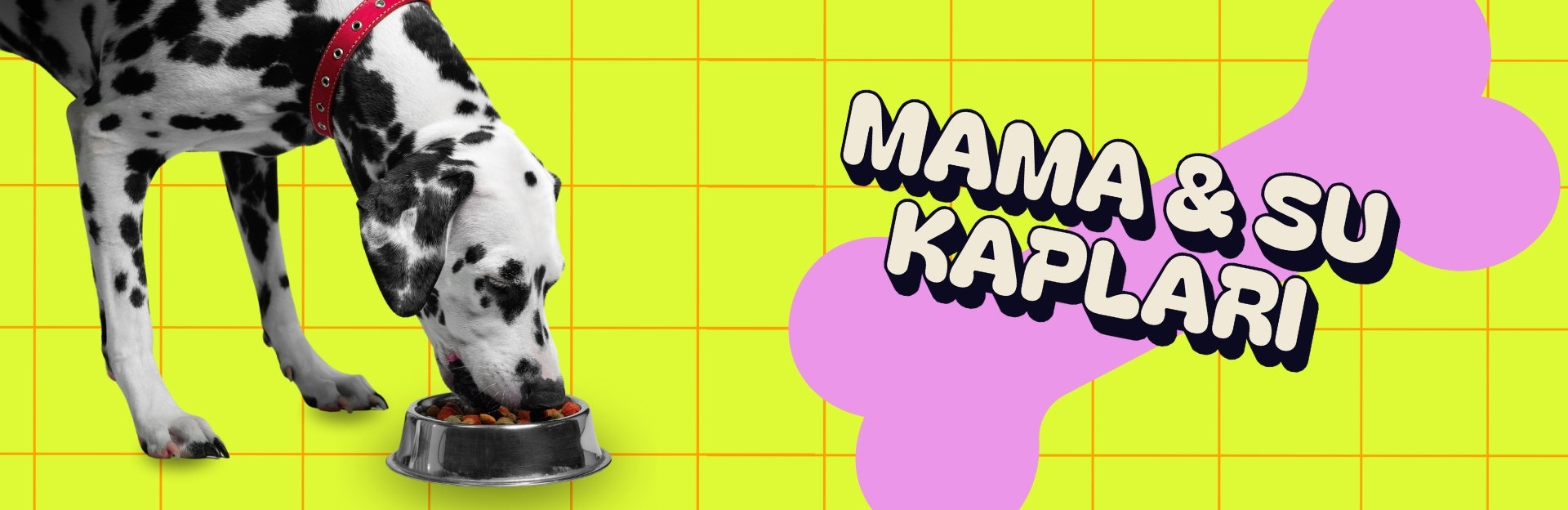 Köpekler için Mama ve Su Kapları