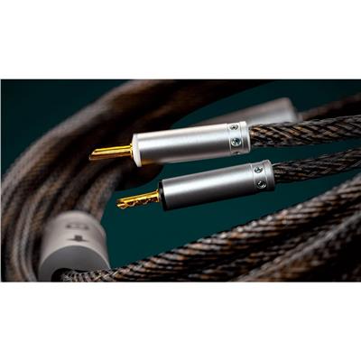 Ansuz Speakz D2 Hoparlör Kablosu