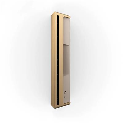 Bang & Olufsen Beosound Level Taşınabilir Multiroom Kablosuz Hoparlör Altın / Meşe Ağacı