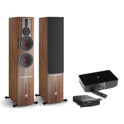 Dali Rubicon 6 C Kablosuz Premium Aktif Hoparlör