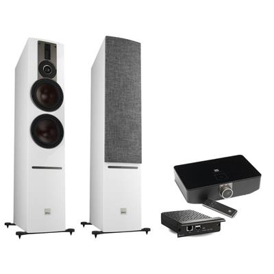 Dali Rubicon 6 C Kablosuz Premium Aktif Hoparlör