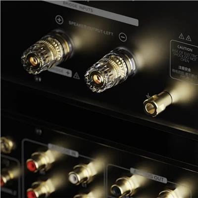 Eversolo AMP-F10 Stereo / Bridgeable Power Amplifier