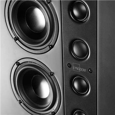 Lyngdorf LS-1000 Center In-Wall/Duvariçi Hoparlör Adet