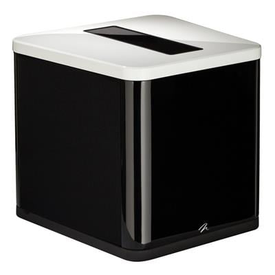 MartinLogan BalancedForce 210  10