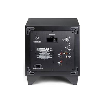 MartinLogan Dynamo 800X 10