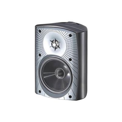 MartinLogan ML-55AW Outdoor Hoparlörler