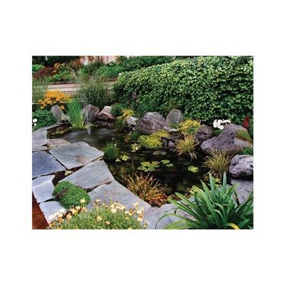 MartinLogan ML-65R Outdoor Hoparlörler