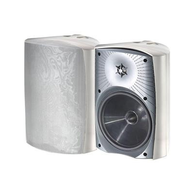 MartinLogan ML-75AW Outdoor Hoparlörler