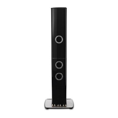 McIntosh XRT1.1K Hoparlörler