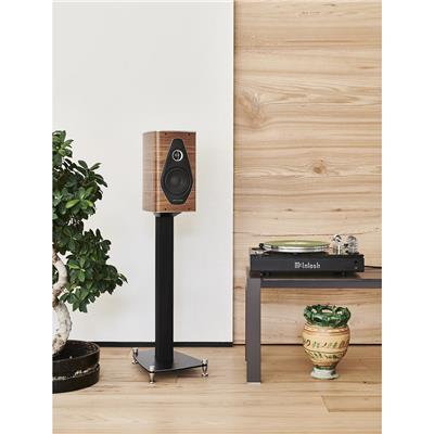 Sonus Faber Olympica Nova I Bookshelf/Raftipi Hoparlör Walnut Çift