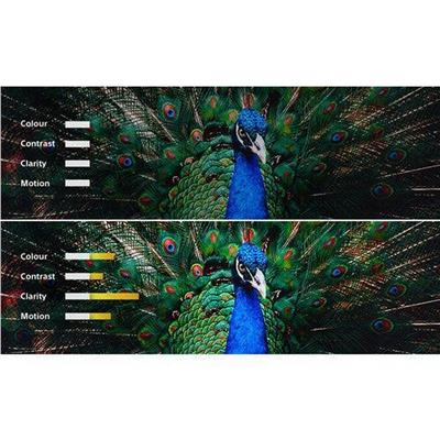 SONY BRAVIA Projektör 9 (VPL-XW8100ES)