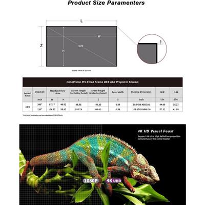 Vividstorm CineVision Pro Fixed Frame UST ALR Perde 100