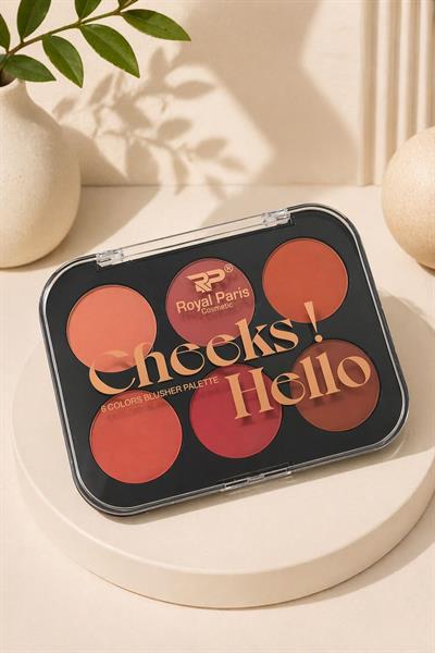 6lı Allık Paleti 01