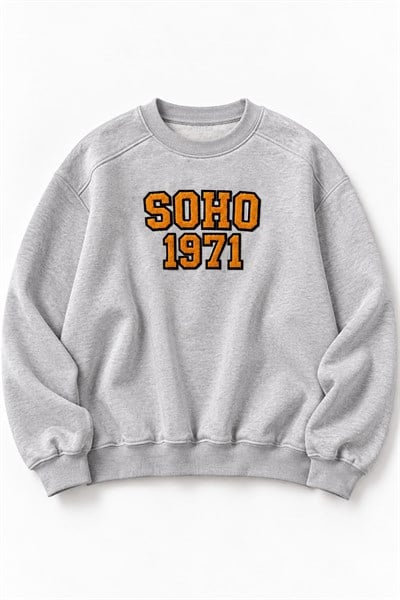 Kadın Bisiklet Yaka Şardonlu Oversize Baskılı Sweatshirt Gri