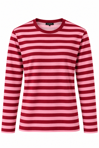 Kadın Çizgi Desenli Sweatshirt Pembe