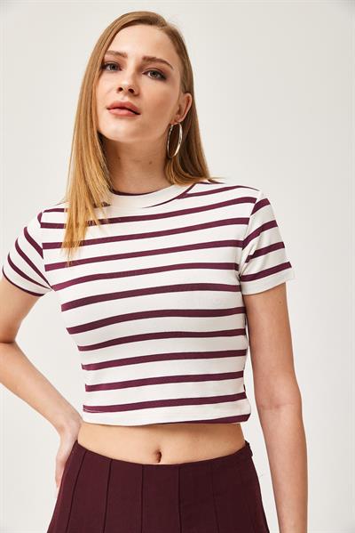 Çizgili Bisiklet Yaka Crop Bluz Mor